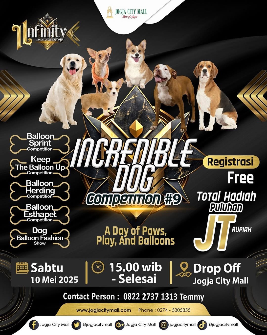 INCREDIBLE DOG COMPETITION